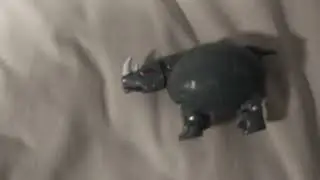 Rhinorb review