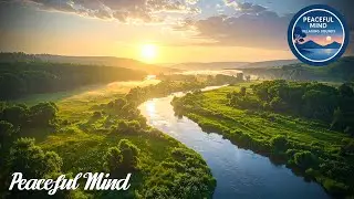 Tranquil Melodies for Tension Release - Soothing Sounds for Inner Peace & Mindful Contemplation #8