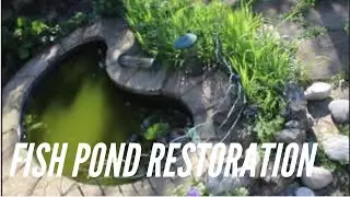 How to restore a Fish Pond  Part 1 | Fish Pond Restoration
