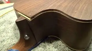 Shawna's Martin DC-16RGTE