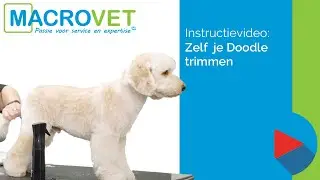 Instructie video: Zelf gemakkelijk je Doodle trimmen