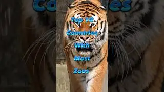 Top 10 Countries With Most Zoos.#shorts#youtubeshorts#trendingshorts #top10shorts#virelshorts