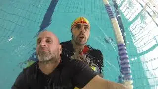 APNES BNSSA 2019