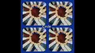 Shape Quest:Conquerthe challange by shape up your bodylet's see our Alliedian's.how they have done.