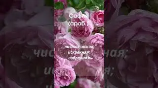 Значение имени Сафия #значениеимени #мусульманскиеимена #женскиеимена