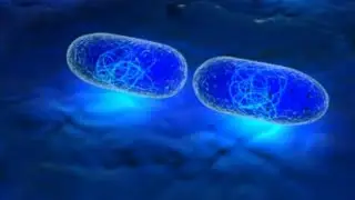 AIIMS AND NEET BIOLOGY &CSIR-NET LIFESCIENCES- DNA REPLICATION IN PROKARYOTES