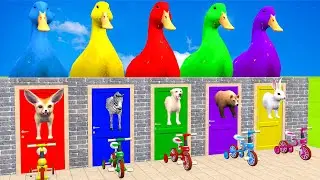 Long Slide Game with Cow Elephant Gorilla Hippopotamus Tiger 3d Animal Game Funny 3d Animals