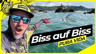 Unbekannte INSEL !? | RAUBFISCH ohne ENDE !! | Wieviele Fischarten können wir fangen??