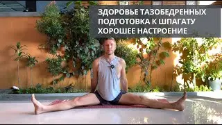5 простых упражнений для тазобедренных суставов и их подвижности. Как обрести здоровье?