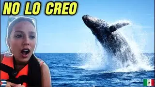 Nunca había visto ballenas… y no lo puedo creer 🐋😭