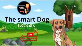 Bed Time Stories, Cartons Story Time, Animated Cartoons, Watch Cartoons Online, Spongebob,