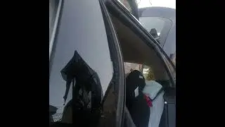 Tesla model s driver door seal change