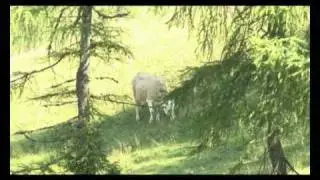 Genussregion Gailtaler Almkäse Gailtaler Speck