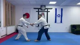 Tehnici autoaparare JiuJitsu Traditional - Academia de autoaparare ARAD