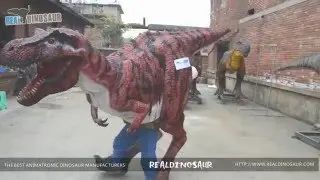 Wholesale dinosaur costume from China Real Dinosaur factory