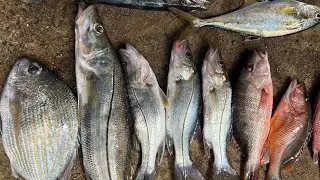 PESCARIA DE ULTRA LIGHT USANDO MICRO CAMARAO, MICRO JIG NA BEIRA DO  MANGUE, QUE PESCARIA TOPPPP!!!