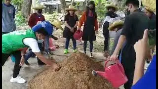 Making Organic Feeds for Chicken 🐔🐔🐔🐔🐔🐔