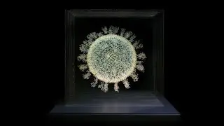 Angela Palmer: '2020' at Oxford University Museum of Natural History