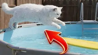 Cats VS Water 🤣 Funniest Reactions 2026 #FunnyCats #catvideos #FunnyCatMoments #animals
