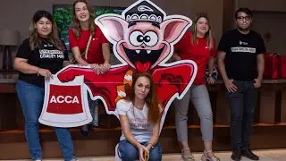 Бизнес-школа &laquo;Profi Training&raquo;.