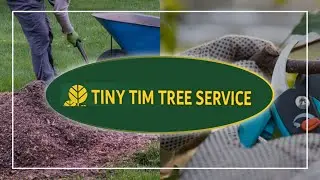Tiny Tim Tree Service