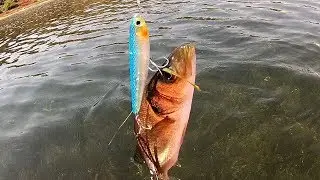 &Psi;ά&rho;&epsilon;&mu;&alpha; &mu;&epsilon; Pogy 85 &tau;&eta;&sigmaf; Rage Tackle.
