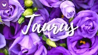Taurus you have the key to their heart! 💖 December 2021 Tarot Reading