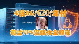 荷兰VPS爆款灵车，4核心8G内存仅需€20欧元一年，车门已打开速度围观！联通0丢包价格吊打一切！