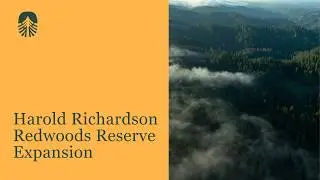 Harold Richardson Redwoods Reserve Expansion | Save the Redwoods League