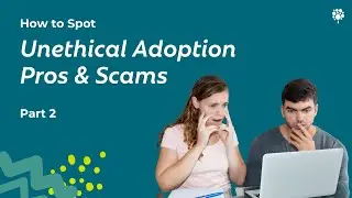 Part 2: How to Spot Unethical Adoption Pros & Adoption Scams