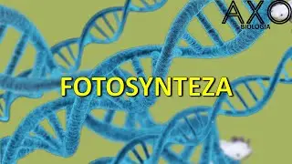 57. Fotosynteza