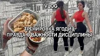 Тренировка ягодиц | правда о важности дисциплины и поддержки | рацион на сушке 