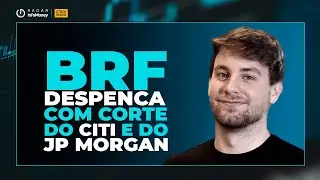 BRF (BRFS3) despenca ap&oacute;s corte de recomenda&ccedil;&atilde;o do Citi e de pre&ccedil;o alvo do JP Morgan
