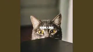 Warm Visual Adventures