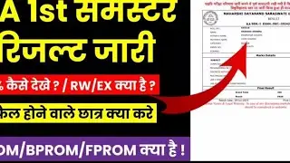 MDSU BA 1st & 3rd Semester Result released | What is PPROM, BPROM, FPROM. What will you fail in t...