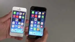 Apple iPhone 6 First Look
