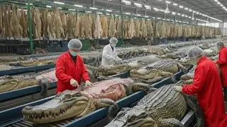 Crocodile Se Birkin Tak 😱 | Duniya Ka Sabse Mehnga Leather Kaise Banta Hai | Full Factory Process