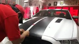 Ford mustang stripe sticker