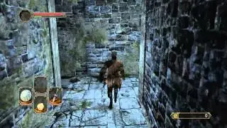 Performance Test: Dark Souls II Running on Nvidia Geforce GT750M (Y510p Lenovo)
