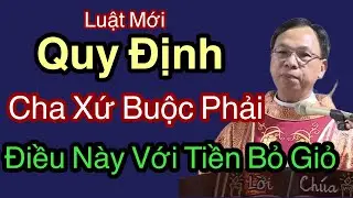 Luật Mới QUY ĐỊNH Tiền  Xin Lễ  Bao Nhiêu Tiền Bỏ Giỏ Cha Xứ Phải Làm Gì  - Cha Nguyễn Thế Thủ
