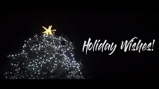 Real Estate Agent Promo Video
