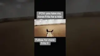 Take my horse for a ride! Subscribe for more videos!! #viral  #shorts #pov #povs #horse #beautiful