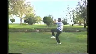 The Wu style of Tai Chi as taught by my first master Jack See 😀