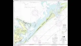 King Fish Shoal 11