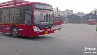 Dangerous bus stunts !!! It&rsquo;s really awesome 😎!!!@