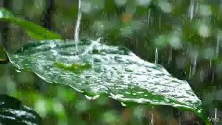 Cozy Room with Relaxing Rain Sounds for Sleep & Study &bull; Heavy Rain and Thunder on Window