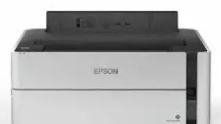 Epson M1170 printer print quality issue