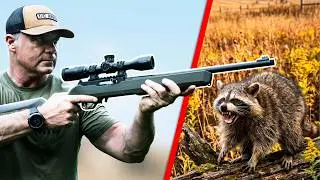 The Internet Can't Agree on .22 LR... So We Tested It