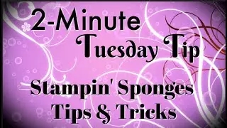 Simply Simple 2-MINUTE TUESDAY TIP - Stampin' Sponges Tips & Tricks by Connie Stewart