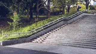 Emerica's 